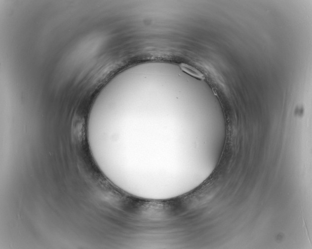 X0000093600123200711051206