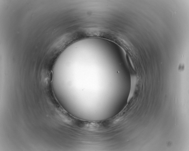 X0000093600125200711051206