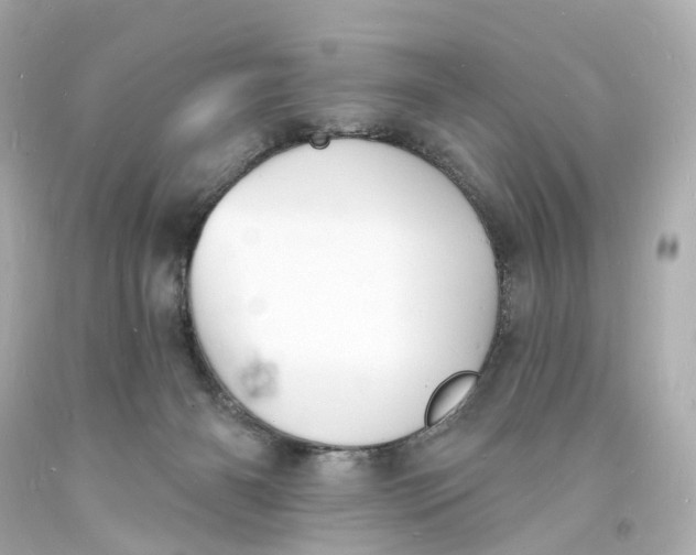 X0000093600126200711051206