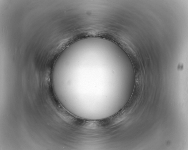 X0000093600127200711051206