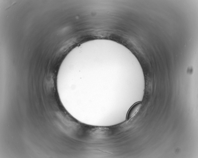 X0000093600128200711051206