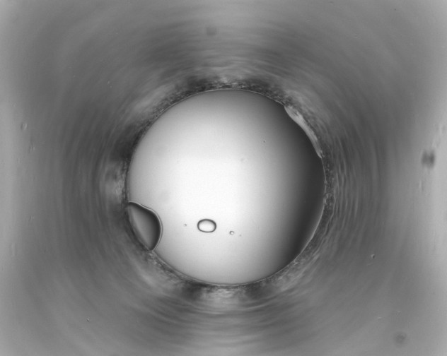 X0000093600129200711051206