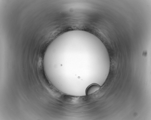 X0000093600130200711051206