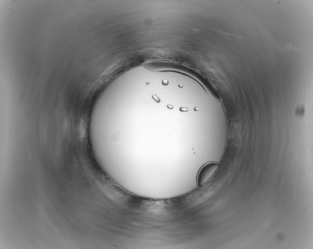 X0000093600131200711051206