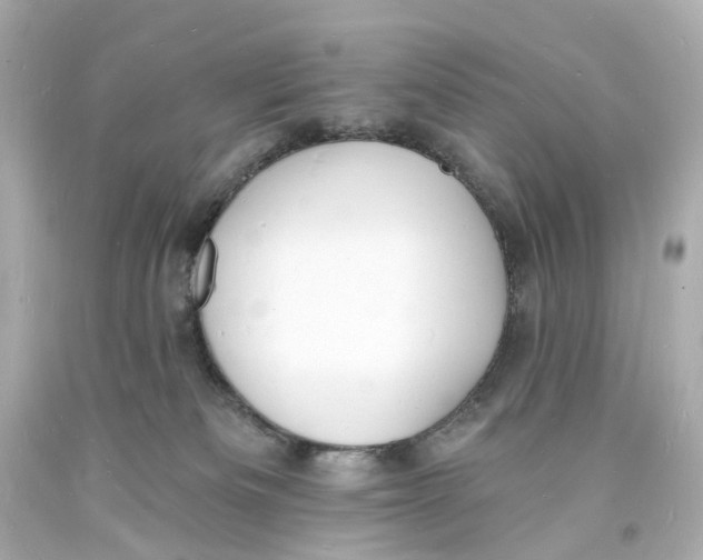 X0000093600133200711051206