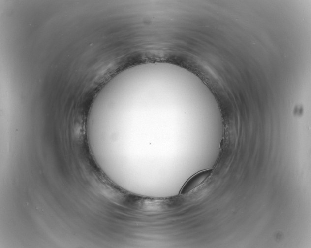 X0000093600134200711051206