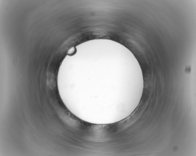 X0000093600136200711051206