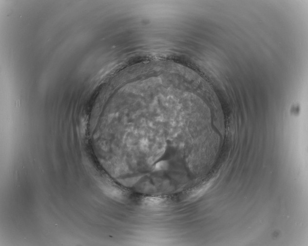 X0000093600139200711051206