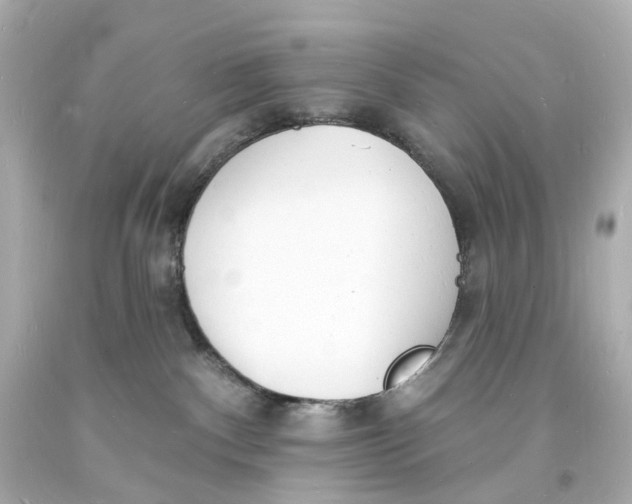 X0000093600140200711051206