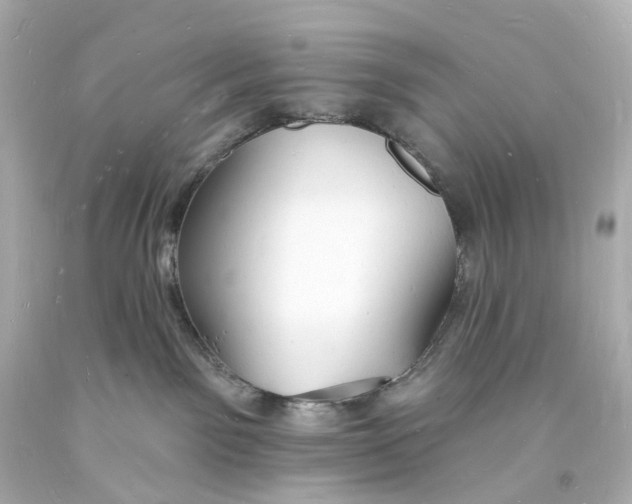 X0000093600141200711051206