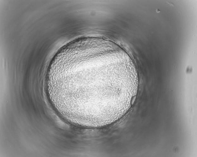 X0000093600145200711051205