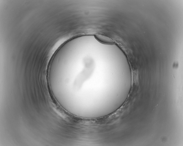 X0000093600147200711051205