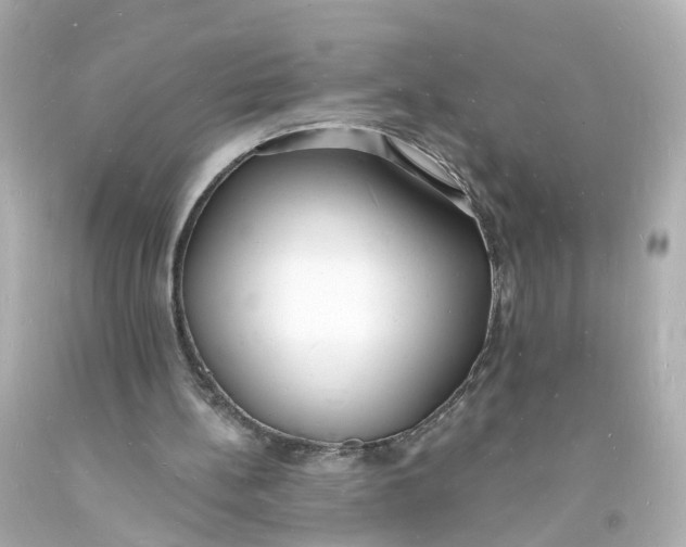 X0000093600148200711051205