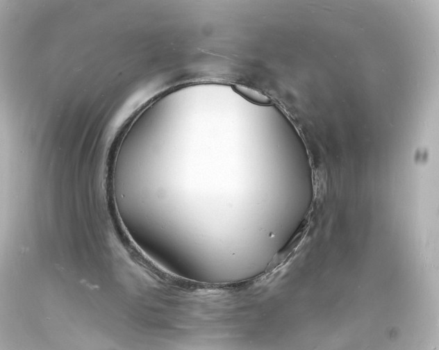 X0000093600150200711051205