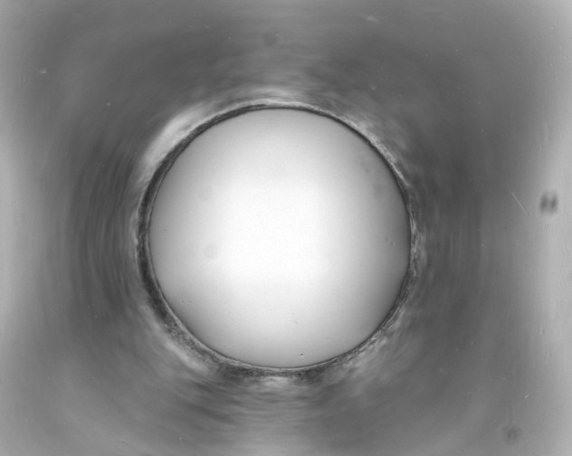 X0000093600151200711051205