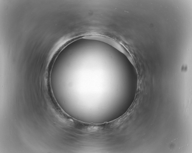 X0000093600152200711051205