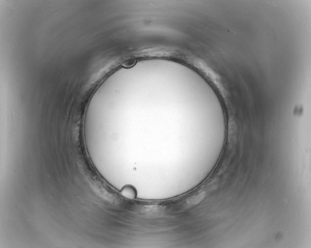 X0000093600153200711051205