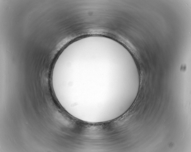 X0000093600155200711051205