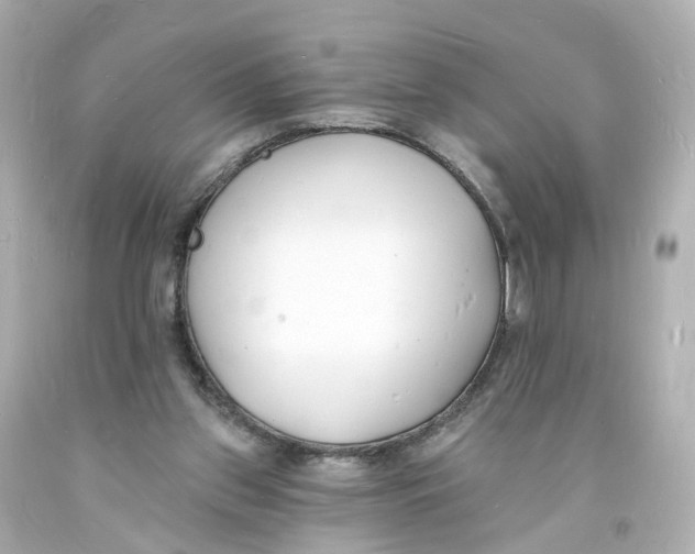 X0000093600157200711051205