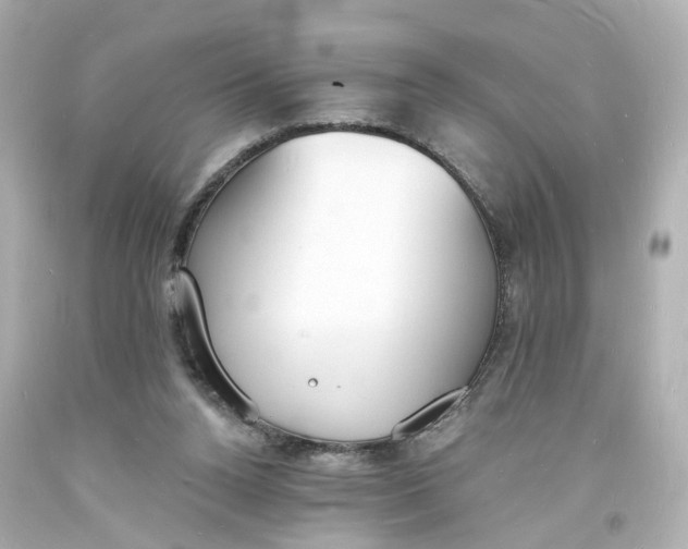 X0000093600160200711051205