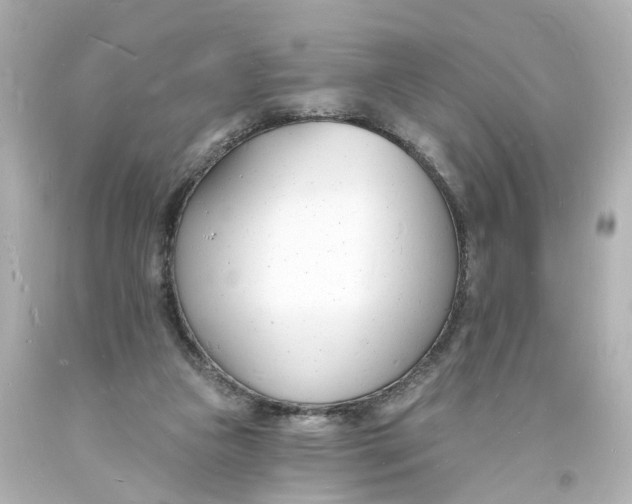 X0000093600161200711051205