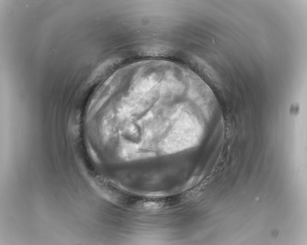 X0000093600163200711051205