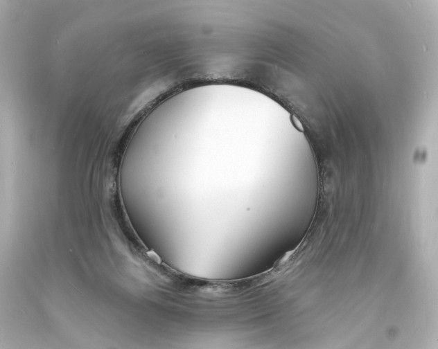 X0000093600164200711051205