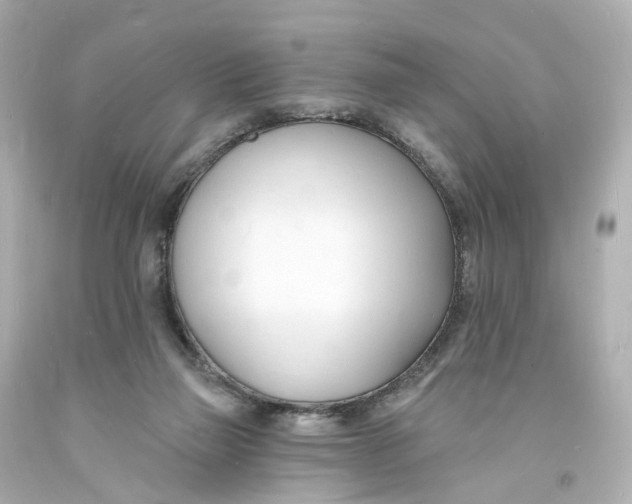 X0000093600165200711051205