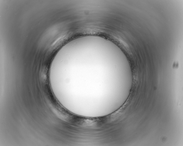 X0000093600166200711051206