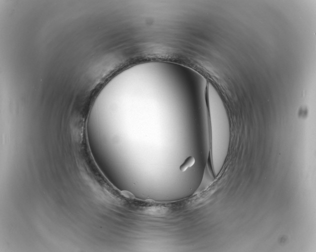 X0000093600168200711051206