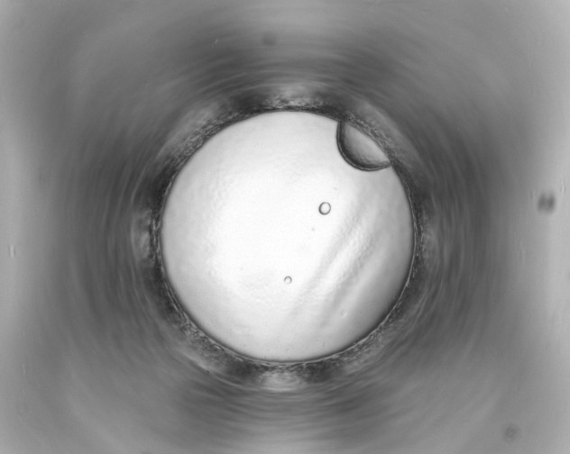 X0000093600169200711051206