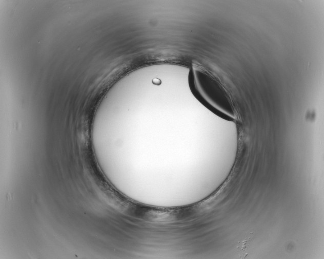 X0000093600170200711051206