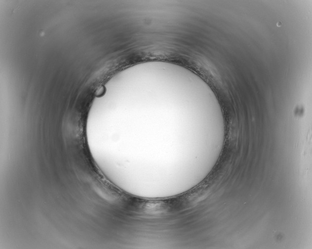 X0000093600173200711051206