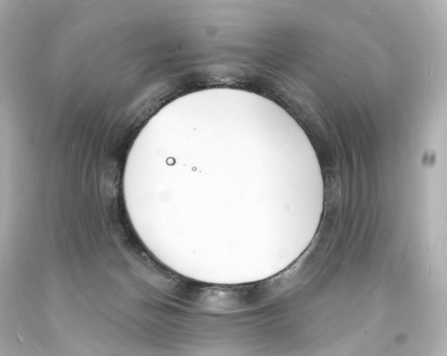 X0000093600174200711051206