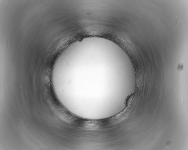 X0000093600175200711051206