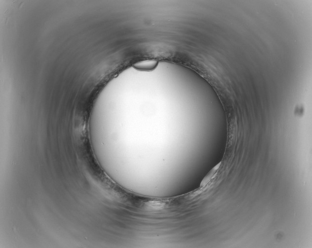 X0000093600176200711051206