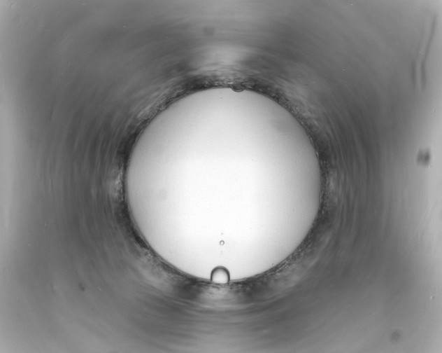 X0000093600177200711051206