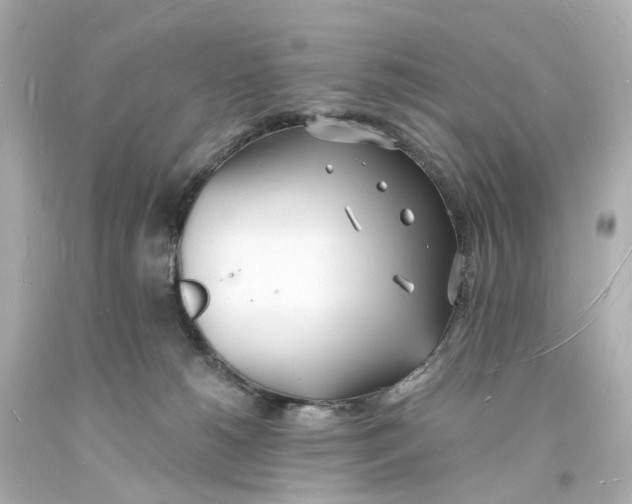 X0000093600180200711051206