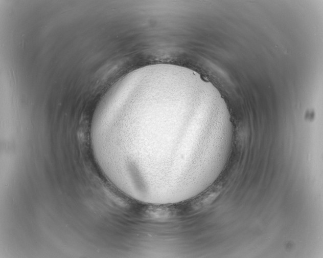 X0000093600181200711051206