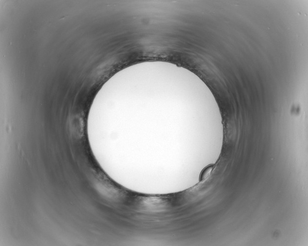 X0000093600183200711051206