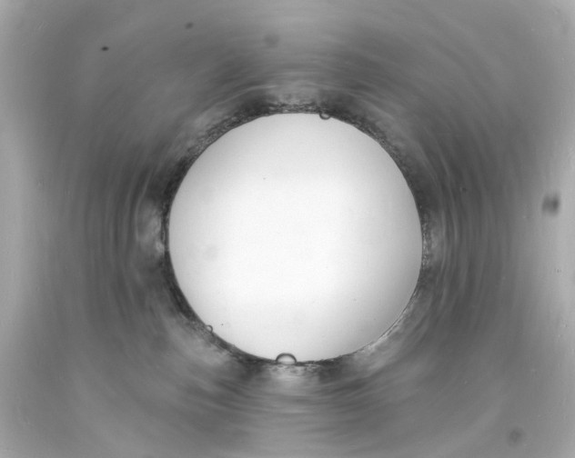 X0000093600187200711051206