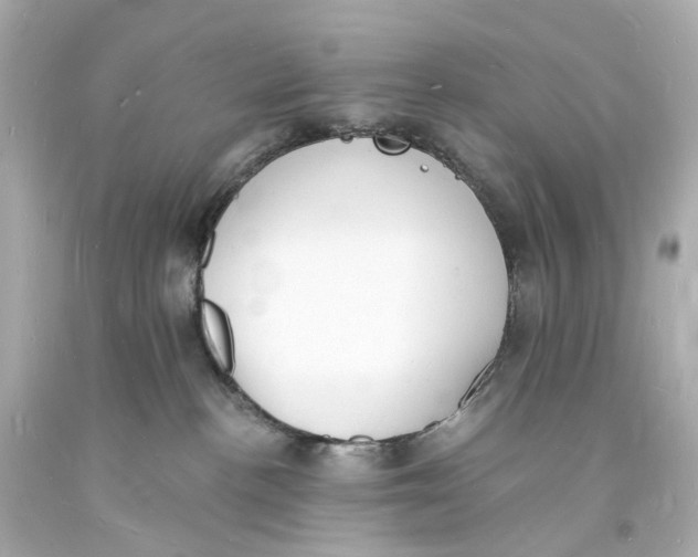 X0000093600188200711051206