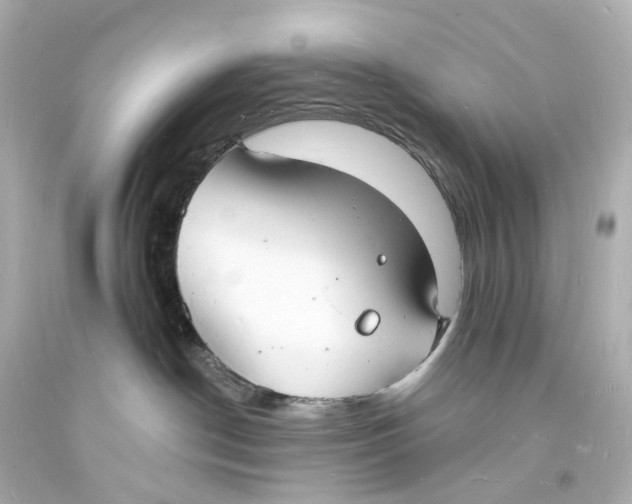 X0000093600190200711051206