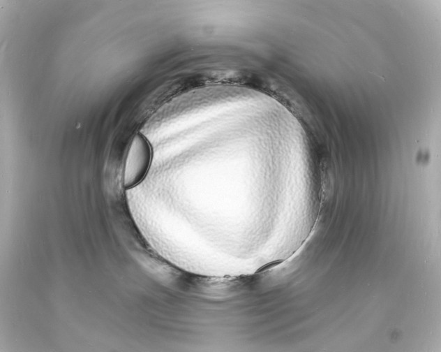 X0000093600191200711051206