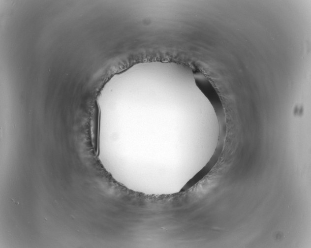 X0000093600192200711051206