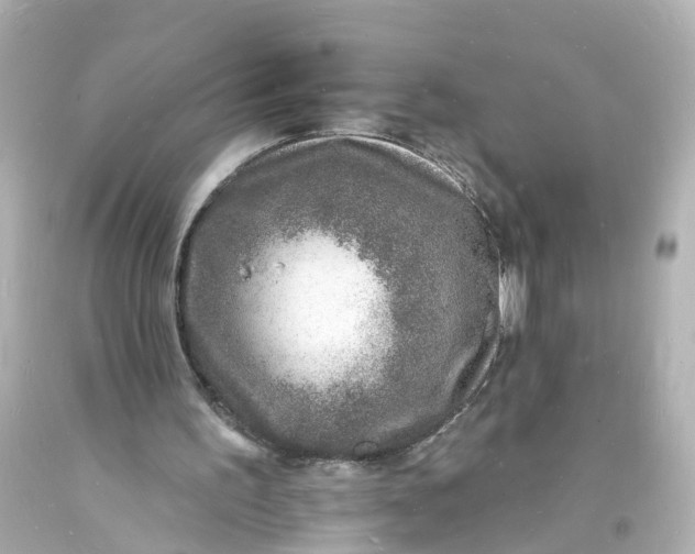 X0000093600195200711051205