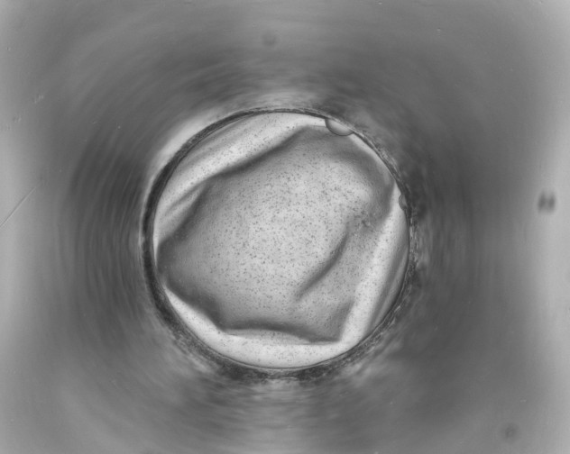 X0000093600196200711051205