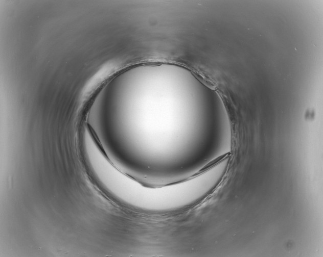 X0000093600197200711051205