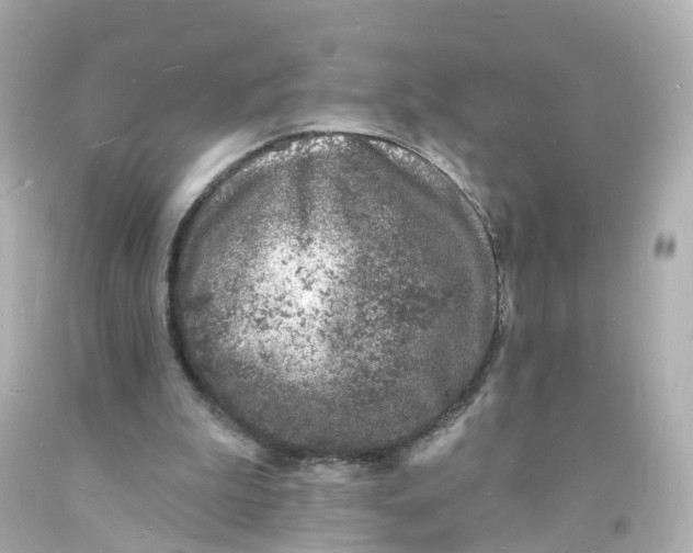 X0000093600199200711051205