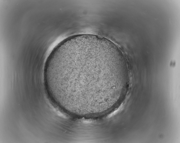 X0000093600200200711051205